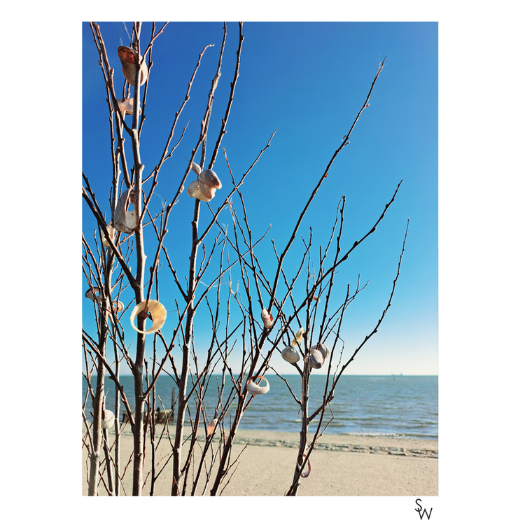 SHELL TREE