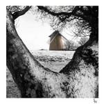 WINDMILL IN WINTER
