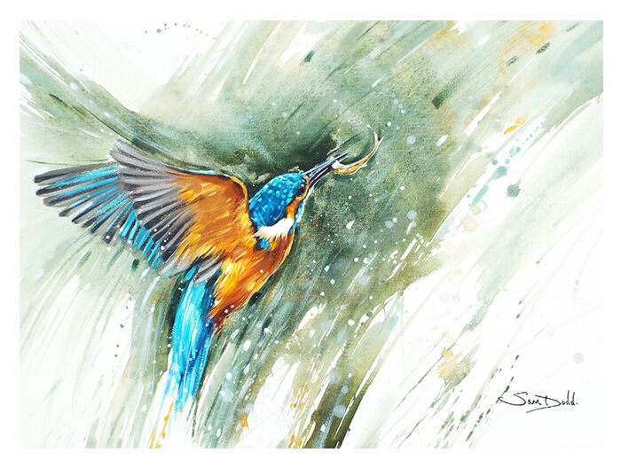 KINFISHER'S CATCH FROM £50