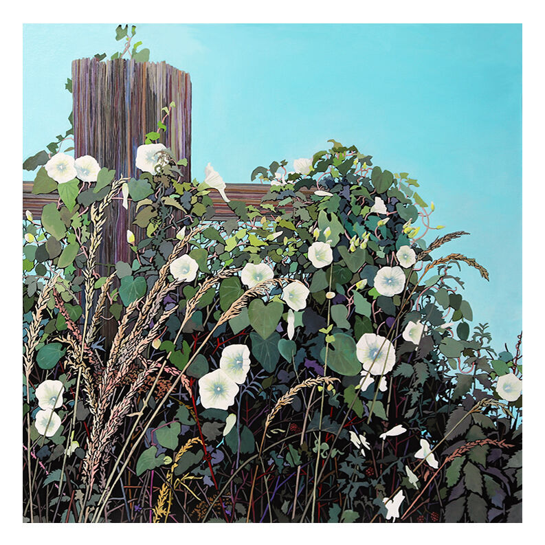 hedgerow heaven £60