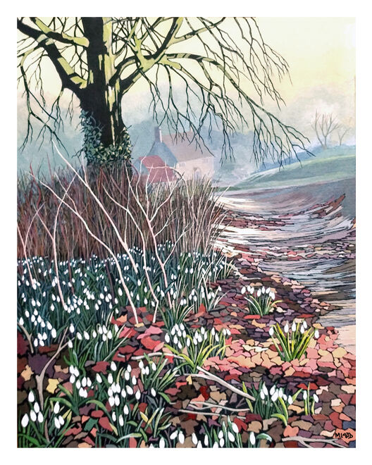 SNOWDROP WALK £65
