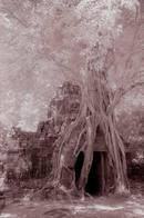 Angkor Cambodia