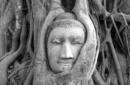 Buddhism Thailand