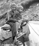 Himalayan Pilgrimages