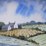 Cottage on The Llyn Peninsula (nfs)