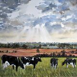Grazing Cows. (Sold) Grazing Cows