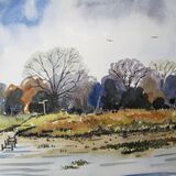 Pagham Harbour