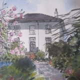 Magnolias in Dad's garden