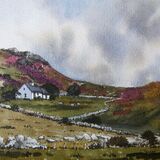 Summer heather in Rhiw (Sold)