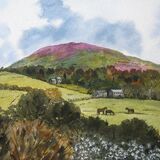 Farm houses in the Lake District
