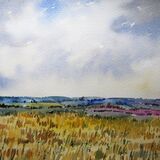 View across Cornfields