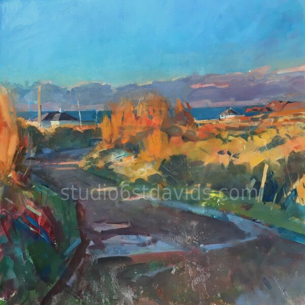 Towards St Davids head.