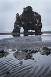 Hvitserkur [Dinasaur Rock]