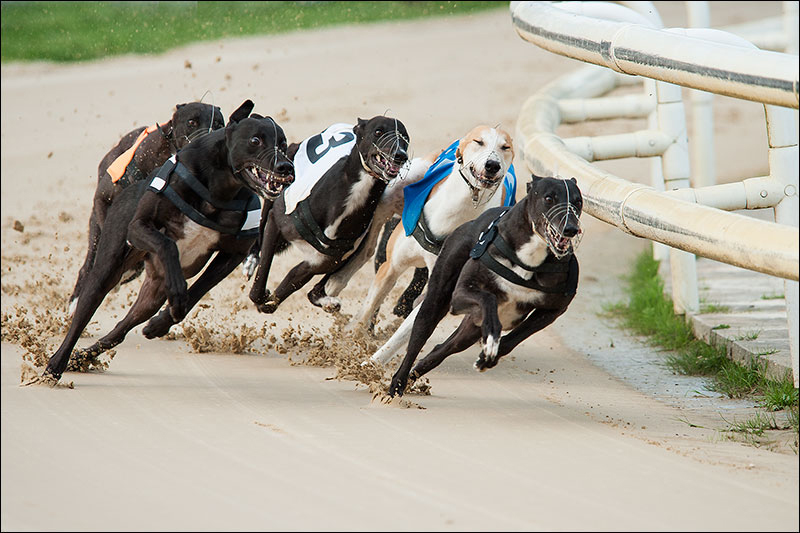 Bunching on the bend