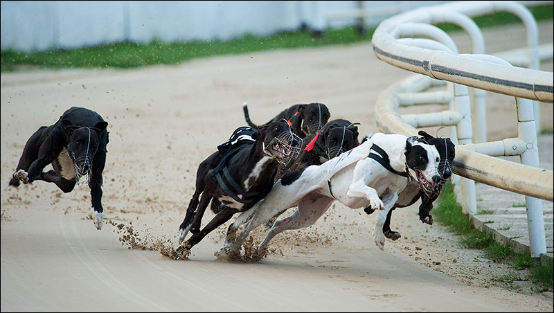 A fight for the lead
