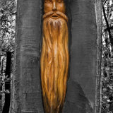 Woodland Green Man