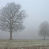 Lone Walker in Winter Fog