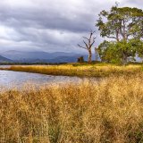Bassenthwaite Lake, Cumbria