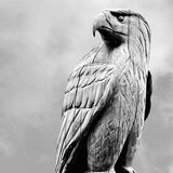 Eagle Wood carving