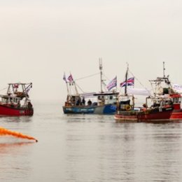 Fishing for Leave. Whitstable I