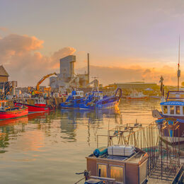 New Light Harbour, Whitstable