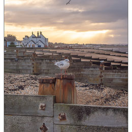 Whitstable beach