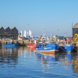 Sails and the Harbour, Whitstable