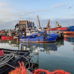 Reflected Harbour
