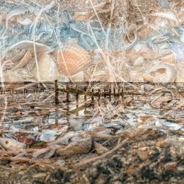 Seasalter Beach