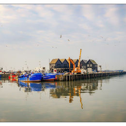 Reflected Harbour - Whitstable