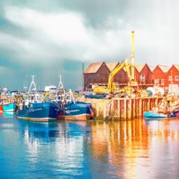 Composite Images III