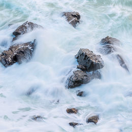 Life is a wave.
