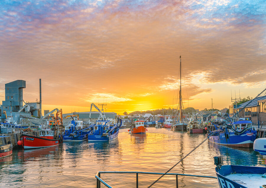 'Morning glory' Sunrise Harbour, Whitstable