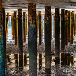 Beneath the Quay, Whitstable Harbour