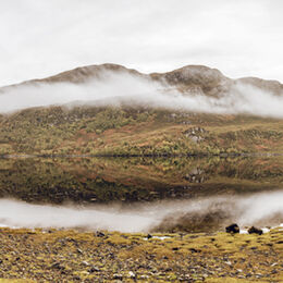Loch Long, autumn, Sellachy. Scotland