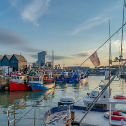 Early morning Harbour