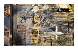 1-1455-1 and 200 babies