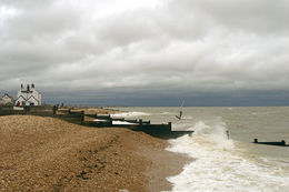 The Old Neptune and Surfer
