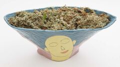 Plant Dreamer - Pink Dawn - Earthenware slipcast planter by ceramicist Susan Czopor.