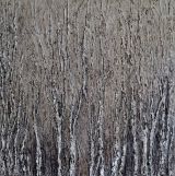 Stand of Birches acrylic on canvas 100/100cm