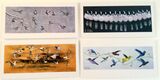 Beautiful Birds pack of 4 cards for the price of 3 £7.50