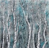 Betula 'Snow Queen'