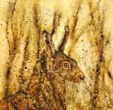 Hare Brained