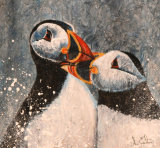 Puffin Proposal