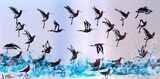 Godwits Galore SOLD