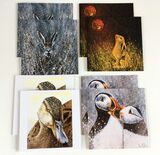 Wonderful Wildlife pack of 8 for the price of 6 cards £15