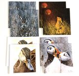 Wonderful Wildlife pack of 8 for the price of 6 cards £15