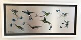 Racket -Tailed Humming Birds SOLD