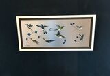 Racket-Tailed Humming Birds SOLD