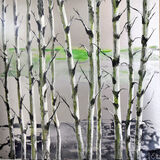 Northern Lights 60 x 60 cms